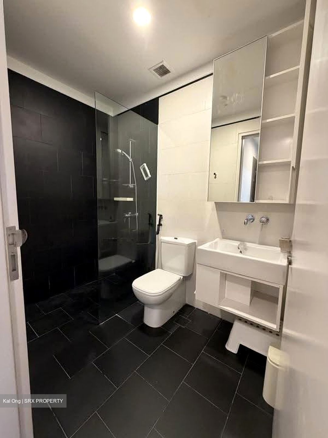 Village @ Pasir Panjang (D5), Condominium #639119471